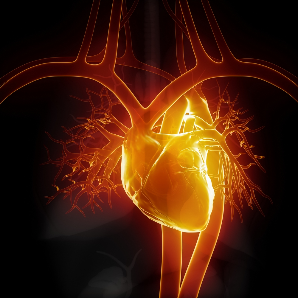 results-of-cardiac-amyloidosis-study-with-fbb-published-cyclotek